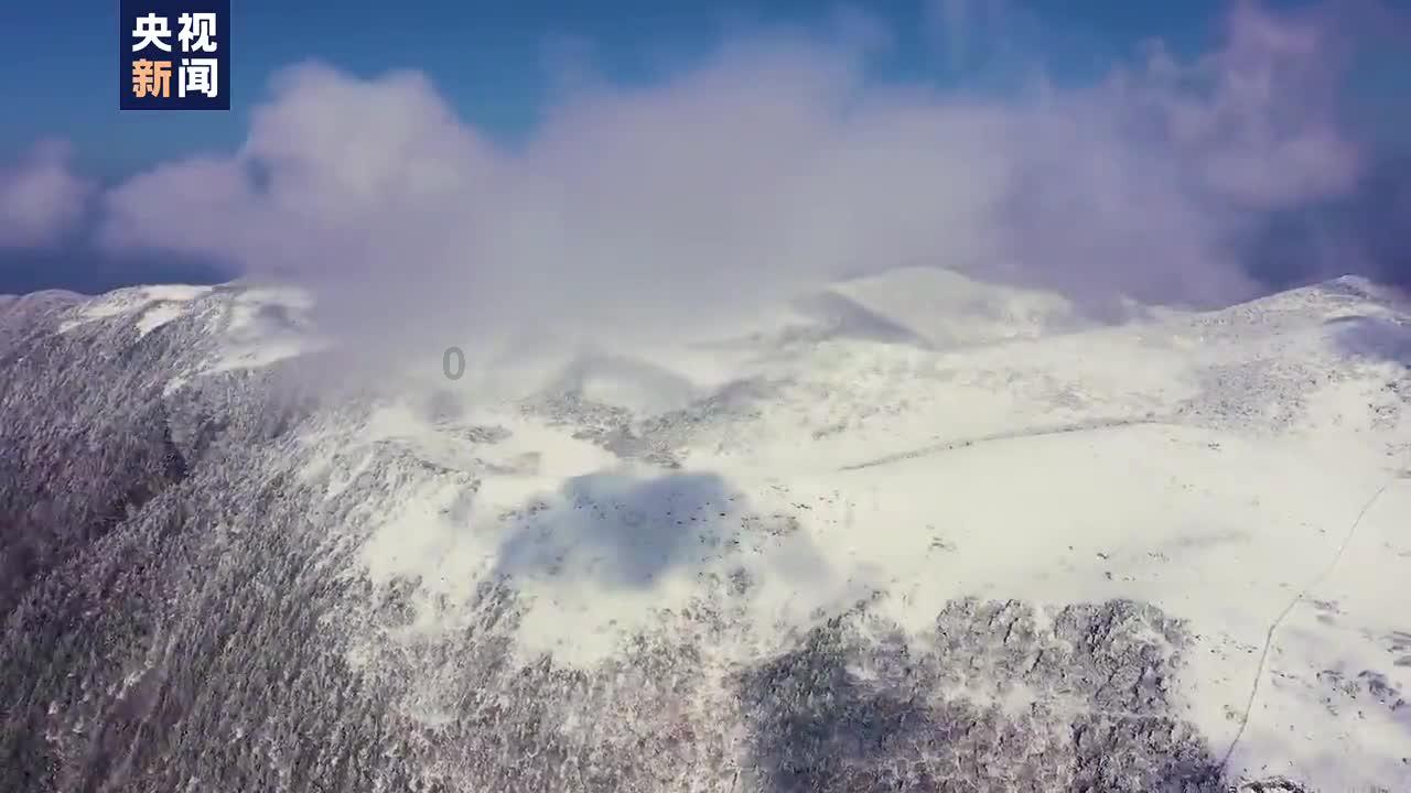 QQ炫舞